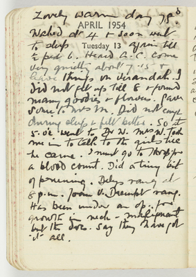 Miles Franklin pocket diary, 1954