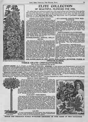 77
