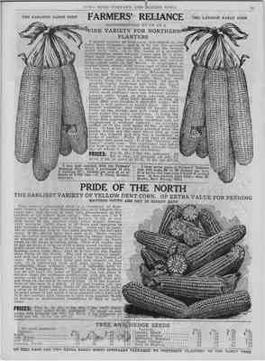 1916