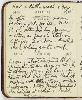 Miles Franklin pocket diary, 1916-1917