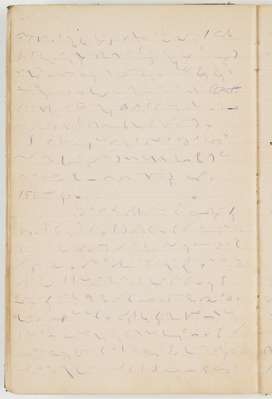 John Pentecost diary of an expedition from Sydney to the Ord River, Western Australia, January to December 1882