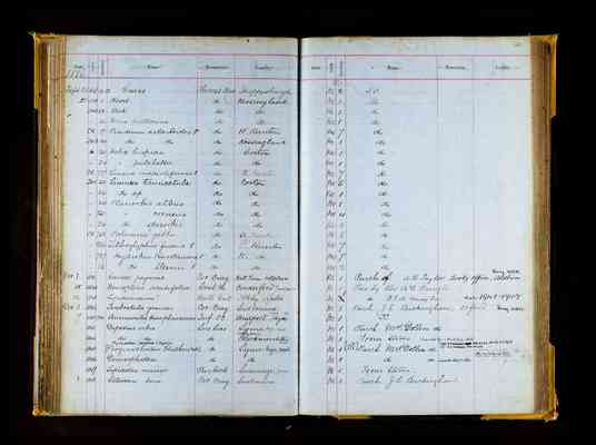 GSM specimens book 1: GSM 1 - 4658