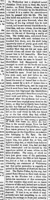 Port Denison Times, 2 March 1867, p2