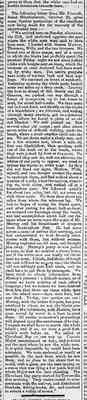 Port Denison Times, 9 November 1867, p3