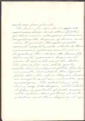 page_0018
