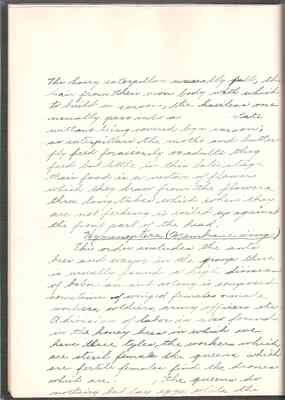 page_0020