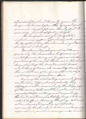 page_0126