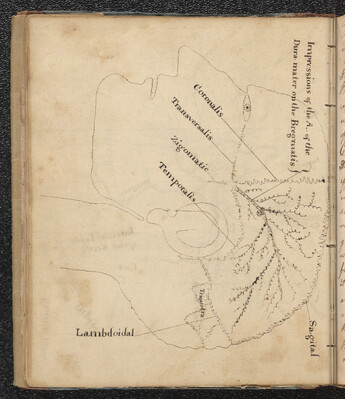 Samuel Elder - Lecture Notes and Casebook