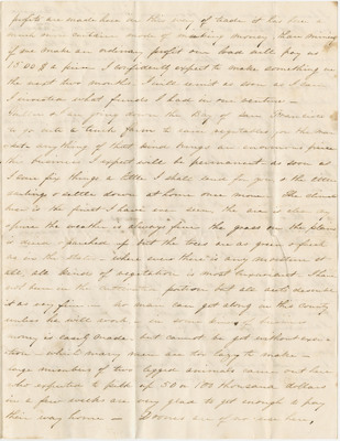 cams_WROlden_b011_f010_002_003