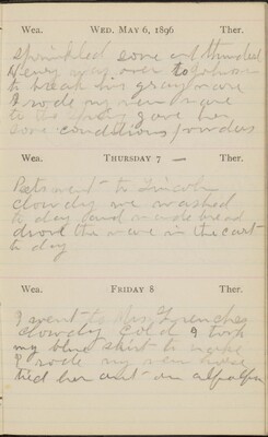 Jennie Richards Diary - Alta California - 1896