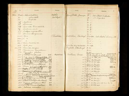 GSM registers book 2