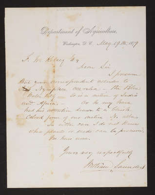 Letter: William Saunders to F. W. Kelsey, 1879, concerning Nymphae caerulia 