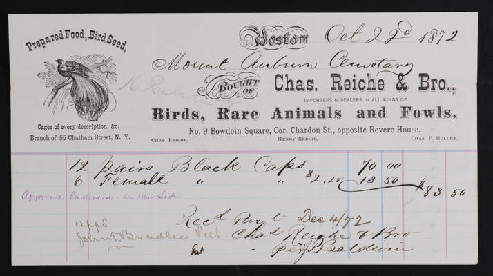 Birds and Fowls Invoice: Chas. Reiche & Bro., 1872 October 22