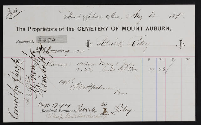 1874-08-04 Horticulture Invoice: Patrick Riley, 2021.005.062  