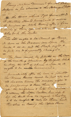 Letter from Henry Massie to Helen Bullitt Massie