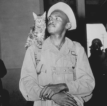 World War II Separation Notices: Navy