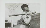 Jack Bentley Baseball Collection 