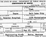 Death Certificates (Statewide): 1970