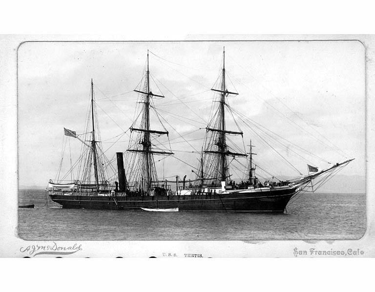 P.W. Johnson Diary