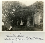 Ellen Wallace Diaries
